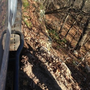 To fall off cliff or not to fall