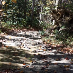 20131026_132538