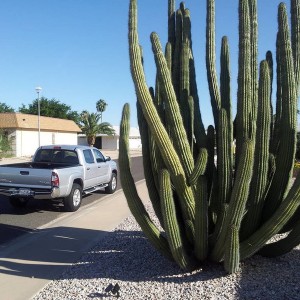 Arizona Trip