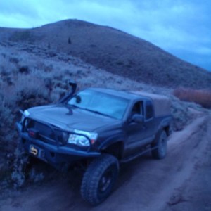 BAMF_Shock_relocate_041