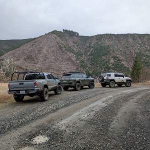 Valley Of The Giants Group