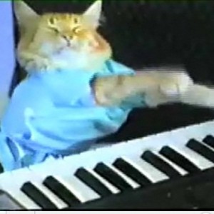 keyboard_kitty