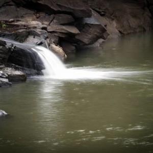 water31