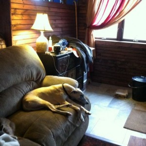 Shadow and Cat are loving the wood heat! It sucks the life out of me too!