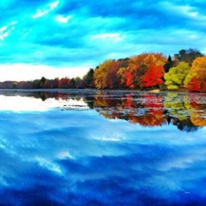 A lake near my house