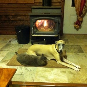 I guess there is room for 2!
