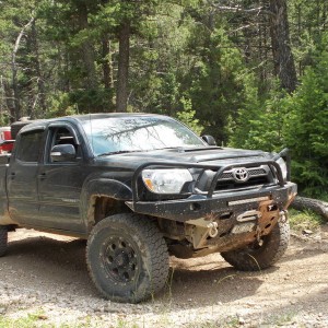 YELLOWSTONEPRYORS_040