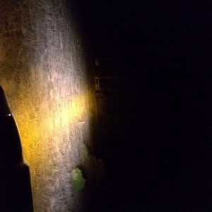 photo_3295