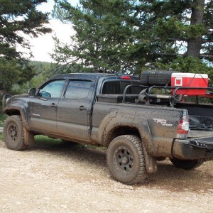 YELLOWSTONEPRYORS_061
