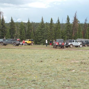 YELLOWSTONEPRYORS_051