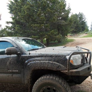 YELLOWSTONEPRYORS_062