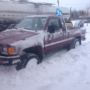 First snow Alberta