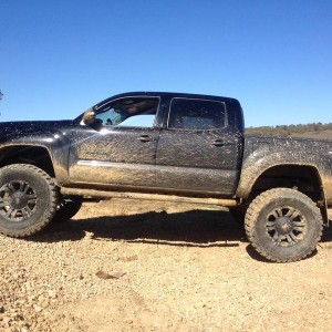 taco_photo_9