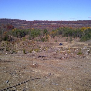 IMG-20131103-00175
