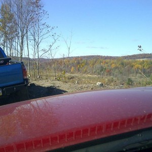 IMG-20131103-00177