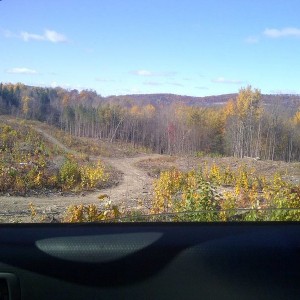 IMG-20131103-00172