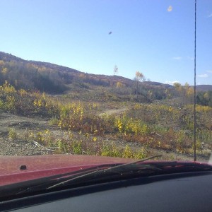 IMG-20131103-00171