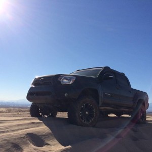Venom at APEX Dunes