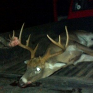 Brother killed a decent one this evenin