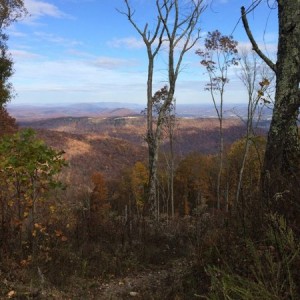 Riding atv's on top of the mountain today.