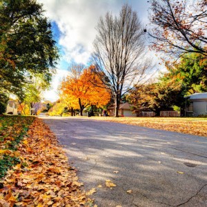 FallRoad