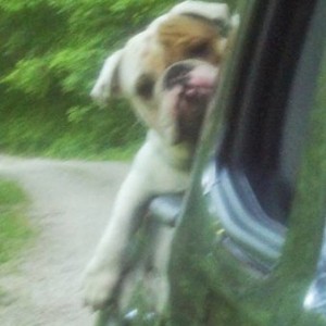 major, riding