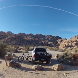 Joshua tree Indian cove