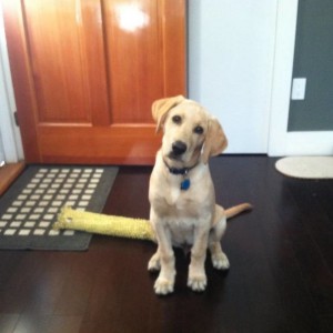 image3549