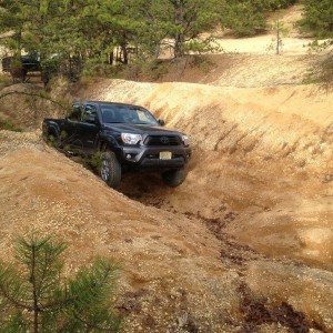 NJDB's unite. Breaking in the suspension proper