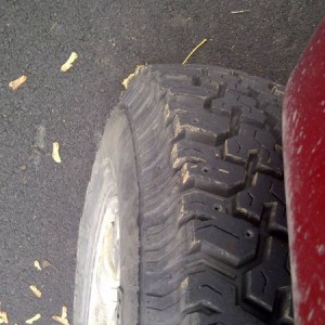 IMG-20131110-00186