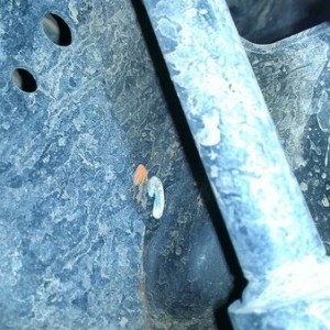 Drivers side motor mount