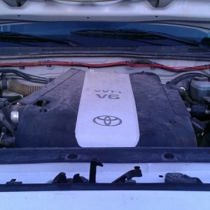 Drivers side motor mount