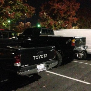 Spotted 1995-1997