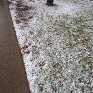 Oh hey winter.