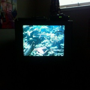 Aquarium channel... Sweet