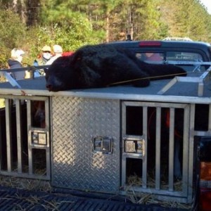 Got the yota loaded down!