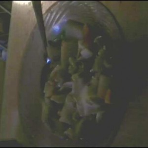 Squirrel Soup