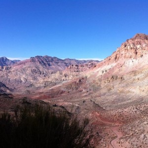 IMG_78961