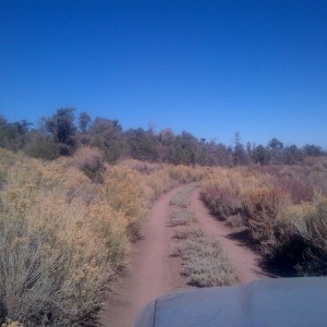 IMG-20131110-00128