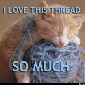 cat_meme