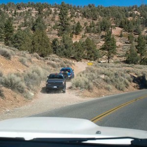 IMG_020216
