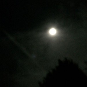 Looks like a full moon.