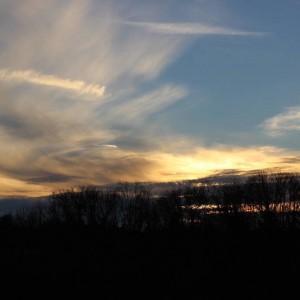 IMG_4872