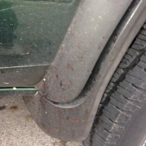Just noticed all the blood on my flare from the deer I ran over that a truc