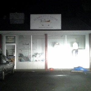 High_beams_plus_big_lights