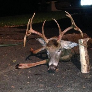 Friends buck. Jelly.