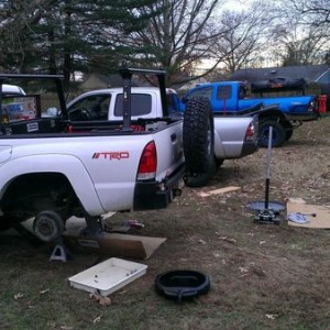 liveBp3CRX