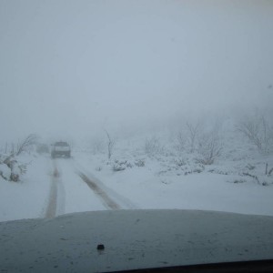 Big Bear 11-23-13