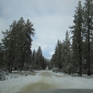Big Bear 11-23-13
