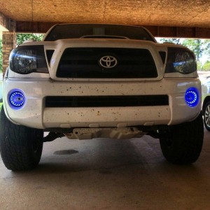 tacoma toyota dclb halos